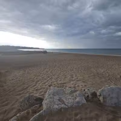 Tierney Park - Lexington, MI