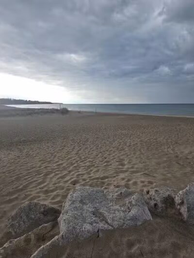 Tierney Park - Lexington, MI