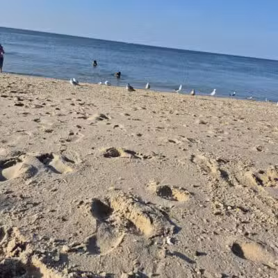 Lido Park District Park - Lido Beach, NY
