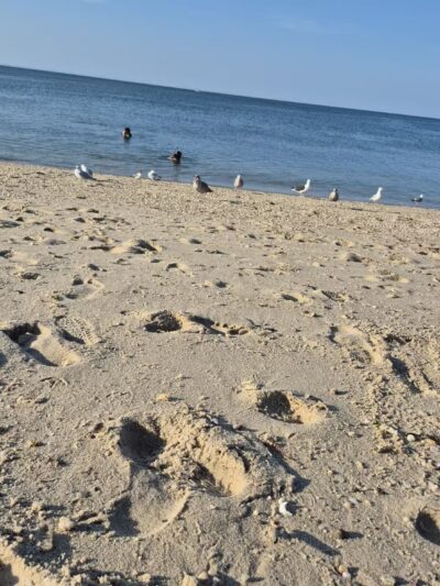 Lido Park District Park - Lido Beach, NY