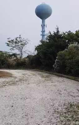 Lido Beach Passive Nature Area - Lido Beach, NY