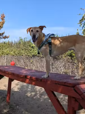 Nickerson Beach Park - Lido Beach, NY