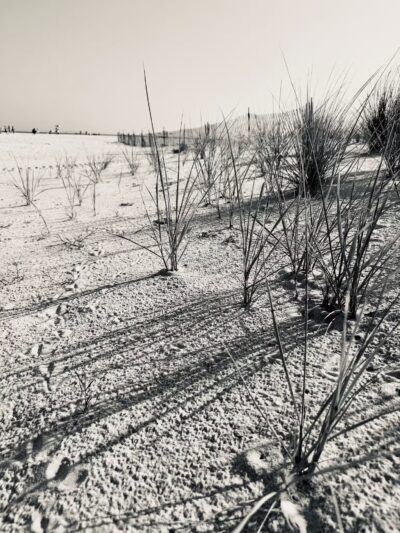 Nickerson Beach Park - Lido Beach, NY
