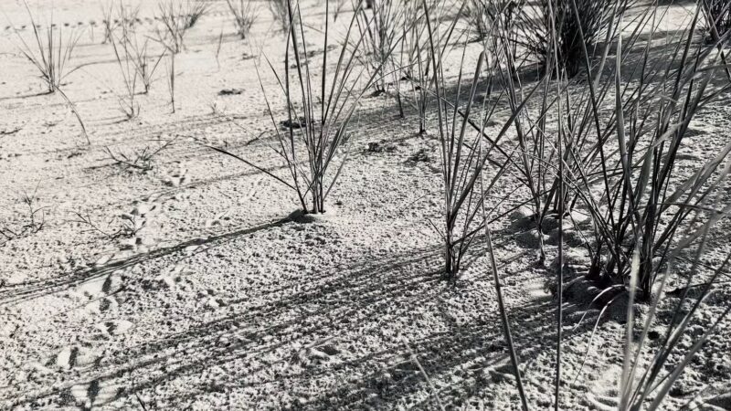 Nickerson Beach Park - Lido Beach, NY