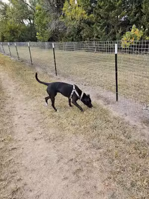 Bowling Lake Dog Park - Lincoln, NE