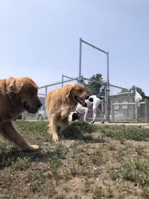 Mahoney Park Dog Run - Lincoln, NE