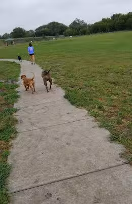 Roper East Dog Run - Lincoln, NE