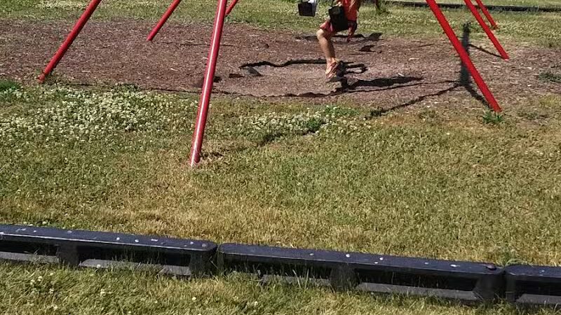 Braverman Park - Lincoln Park,