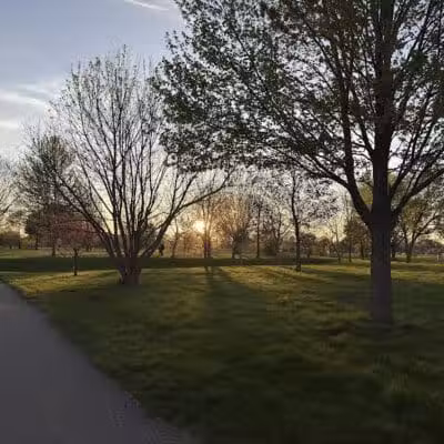 Council Point Park - Lincoln Park,