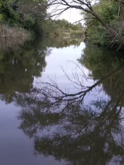 Council Point Park - Lincoln Park,