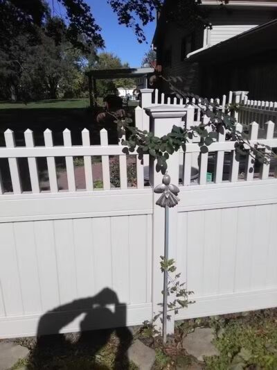 Lions Park - Lincoln Park,