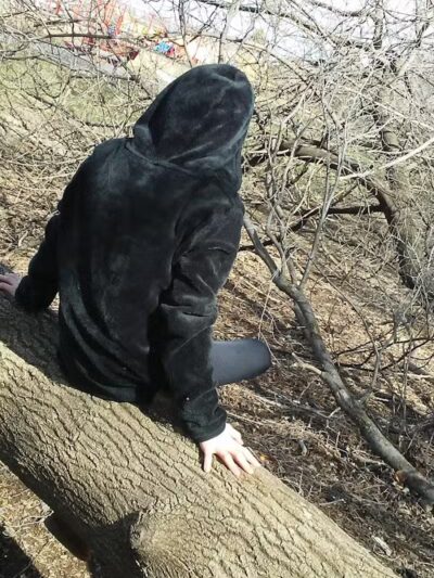 Lions Park - Lincoln Park,