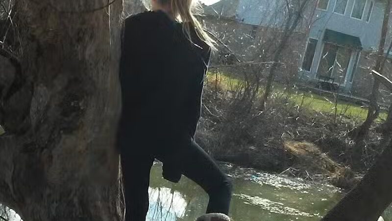 Lions Park - Lincoln Park,