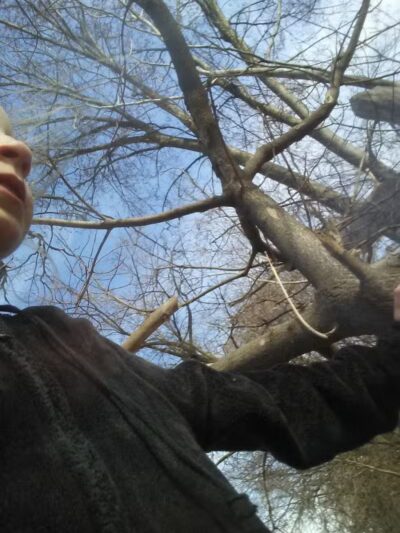 Lions Park - Lincoln Park,