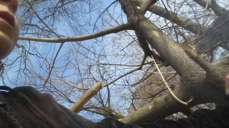 Lions Park - Lincoln Park,