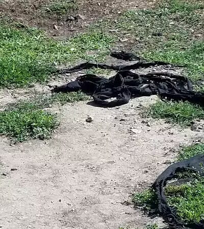 Lions Park - Lincoln Park,