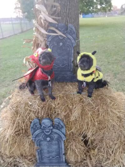 Quandt Park - Lincoln Park,