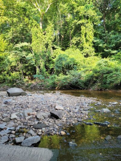 Holmes Run Stream Valley Park - Lincolnia, VA