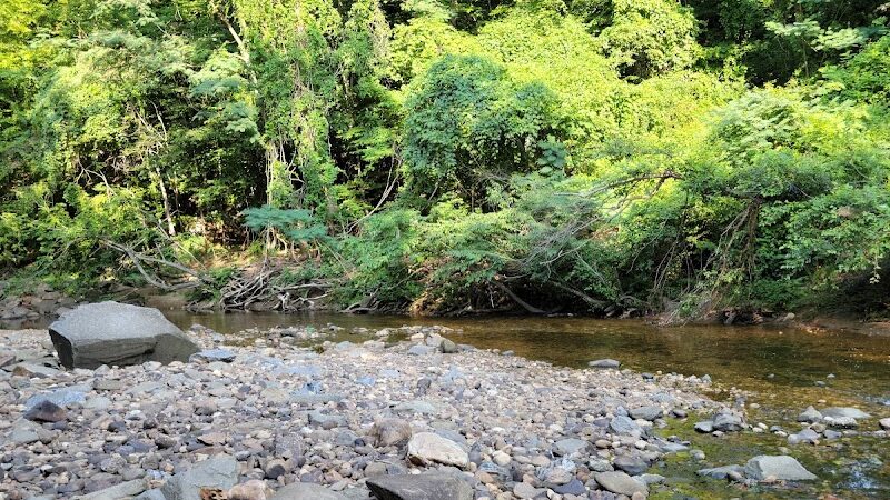 Holmes Run Stream Valley Park - Lincolnia, VA