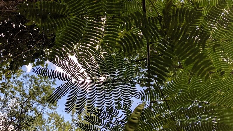 Holmes Run Stream Valley Park - Lincolnia, VA