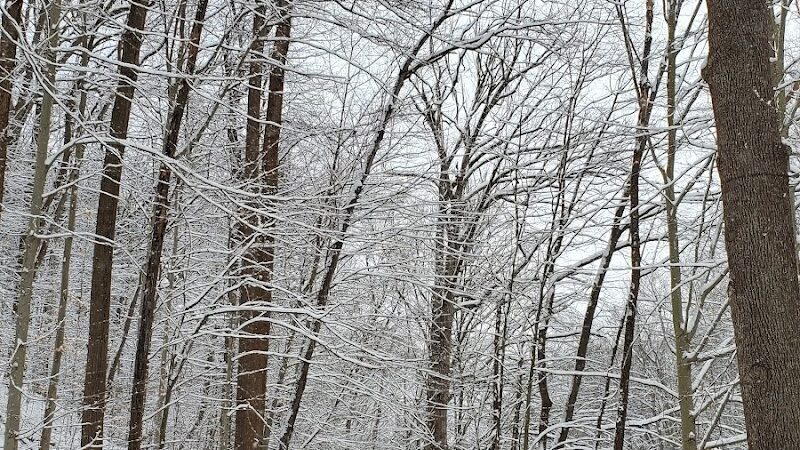 Holmes Run Stream Valley Park - Lincolnia, VA