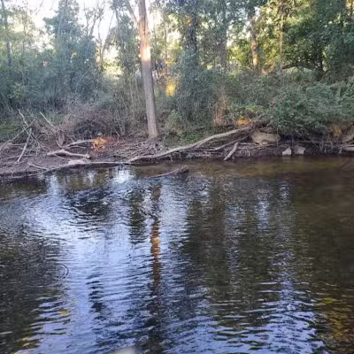 Eagle's Wooden Park - Linden,