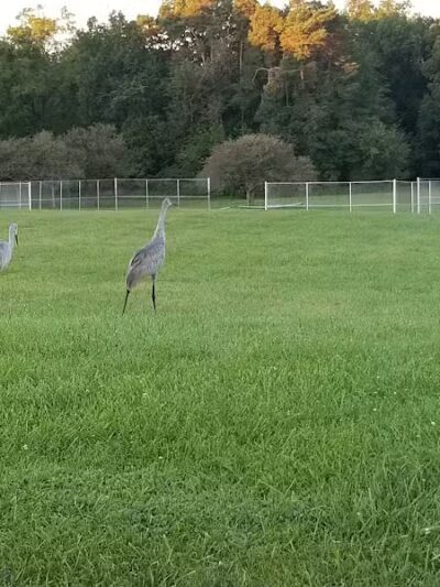 Linden County Park - Linden, MI