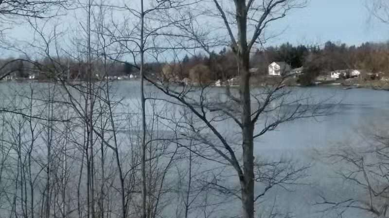 Linden County Park - Linden, MI