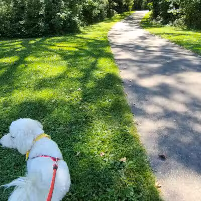 Linden County Park - Linden, MI