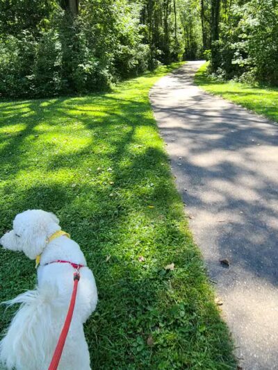 Linden County Park - Linden, MI