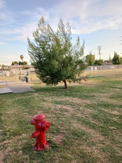 Lindsay Kiwanis Paw Park - Lindsay, CA