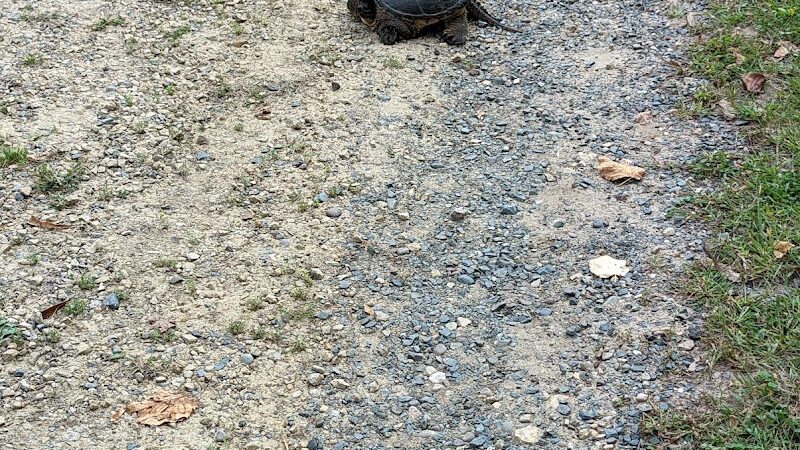 Allemansrätt park - Lindstrom, MN