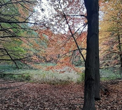 Allemansrätt park - Lindstrom, MN