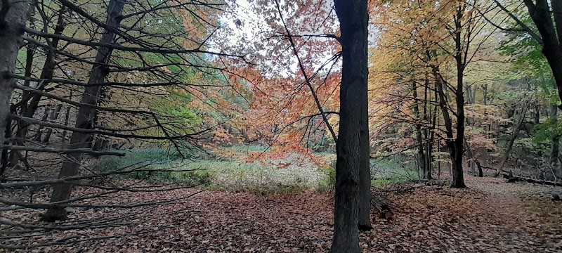 Allemansrätt park - Lindstrom, MN