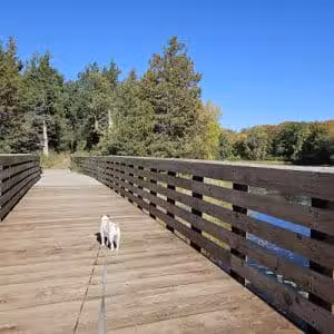 Allemansrätt park - Lindstrom, MN