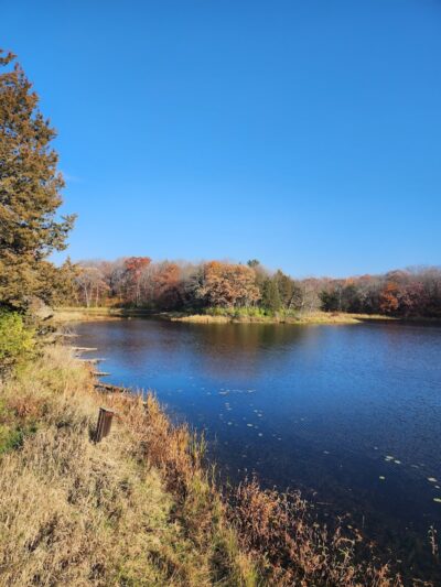 Allemansrätt park - Lindstrom, MN