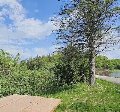 Allemansrätt park - Lindstrom, MN