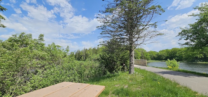 Allemansrätt park - Lindstrom, MN