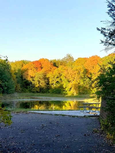 Allemansrätt park - Lindstrom, MN