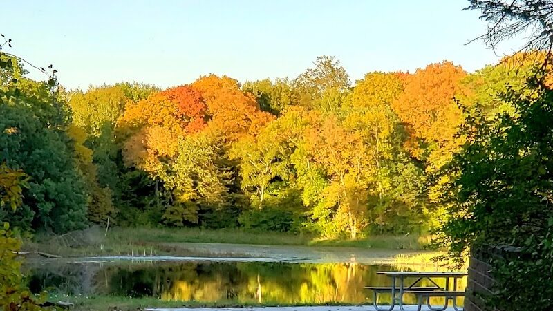 Allemansrätt park - Lindstrom, MN