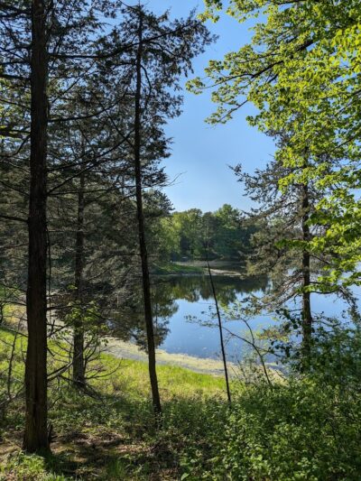 Allemansrätt park - Lindstrom, MN