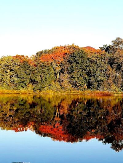 Allemansrätt park - Lindstrom, MN