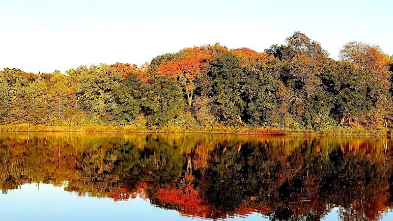 Allemansrätt park - Lindstrom, MN