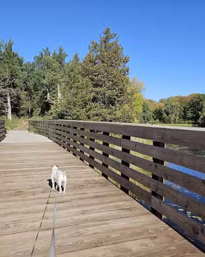Allemansrätt park - Lindstrom, MN