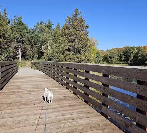 Allemansrätt park - Lindstrom, MN