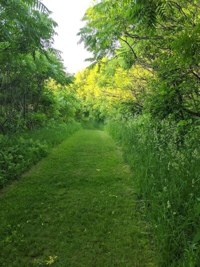 Ki Chi Saga County Park - Lindstrom, MN