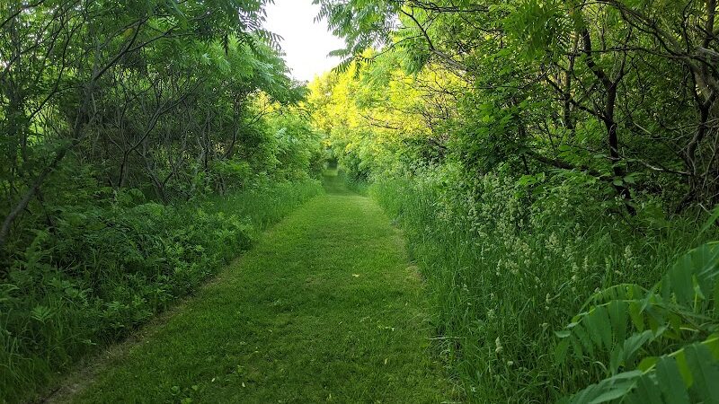 Ki Chi Saga County Park - Lindstrom, MN