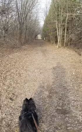 Ki Chi Saga County Park - Lindstrom, MN