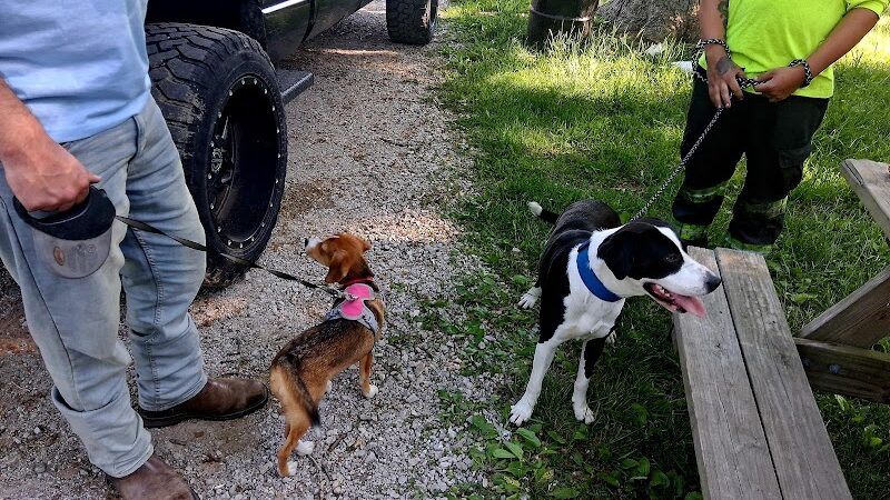 Litchfield Dog Park - Litchfield, IL