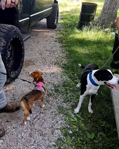 Litchfield Dog Park - Litchfield, IL